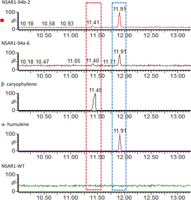 Fig. 2