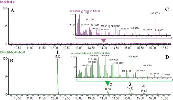 Fig. 3