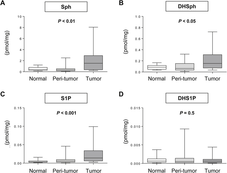 Fig. 1 –