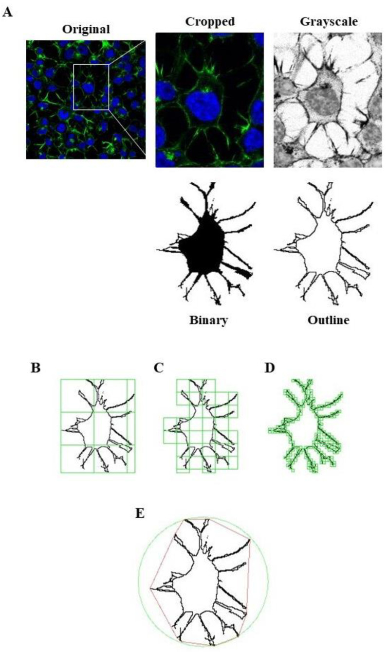 Figure 13
