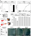 FIG. 4.