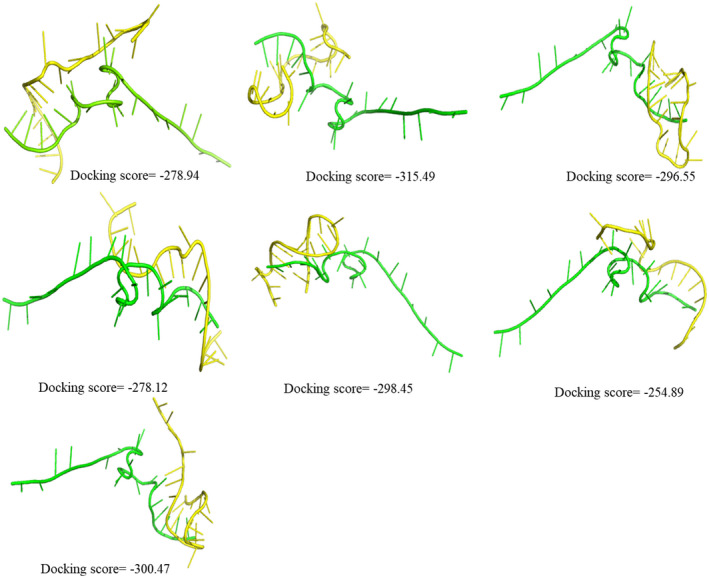 FIGURE 3