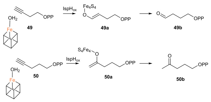 Scheme 5