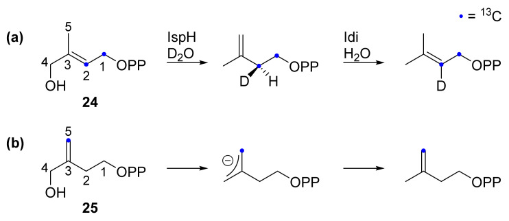 Scheme 4