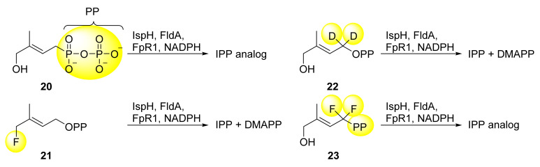 Scheme 3