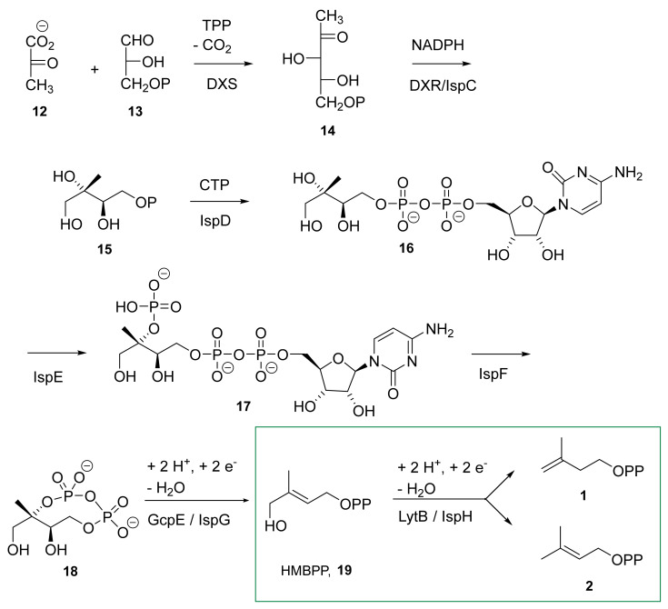 Scheme 1