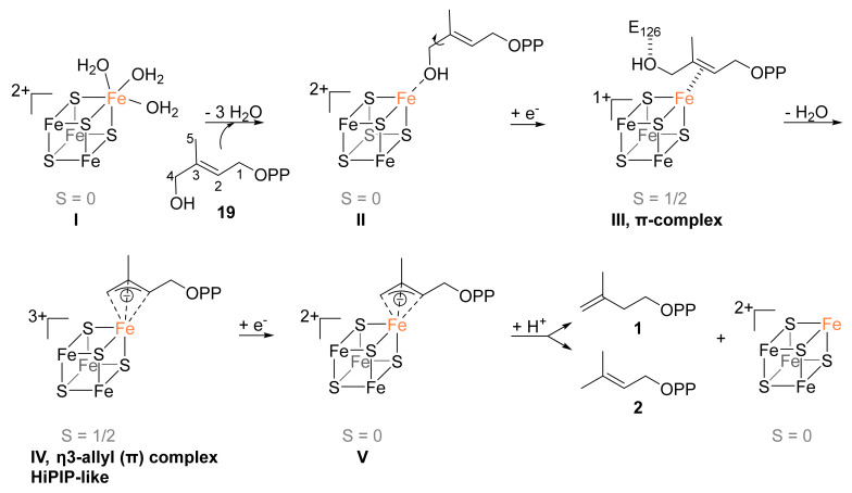 Scheme 2