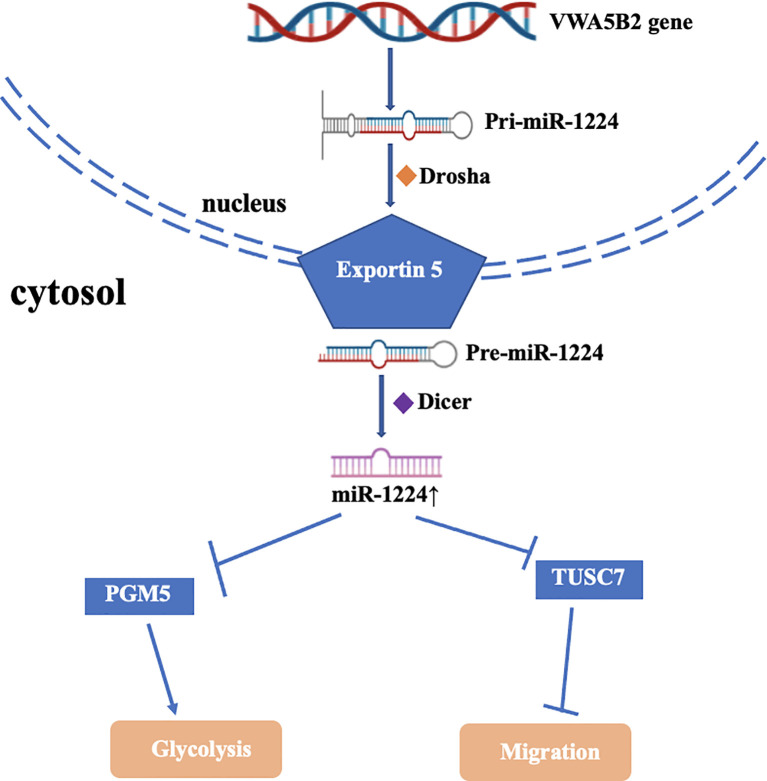 Figure 2