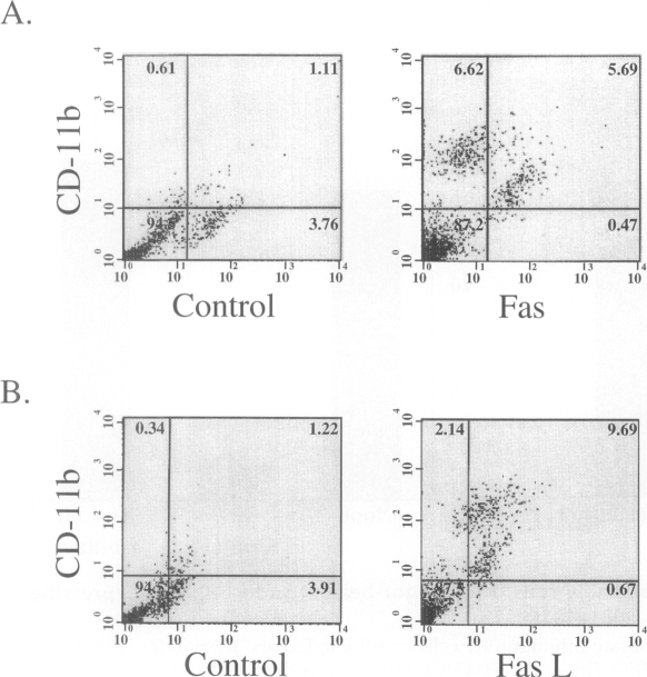 FIG. 6