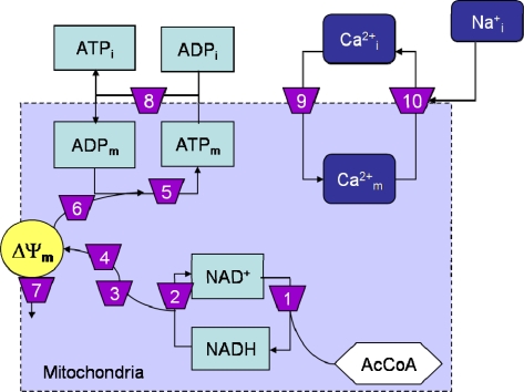 Scheme 1.