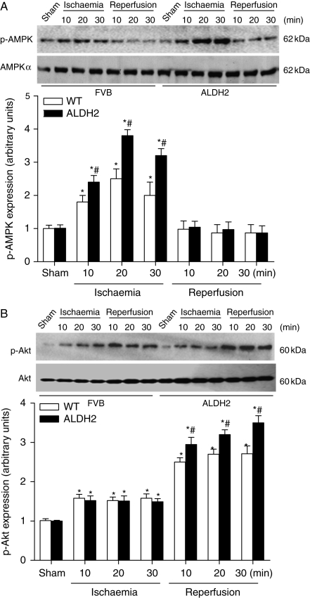 Figure 5