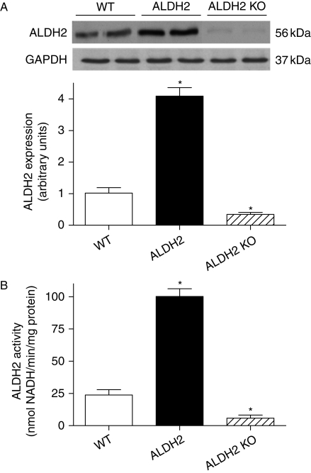 Figure 1