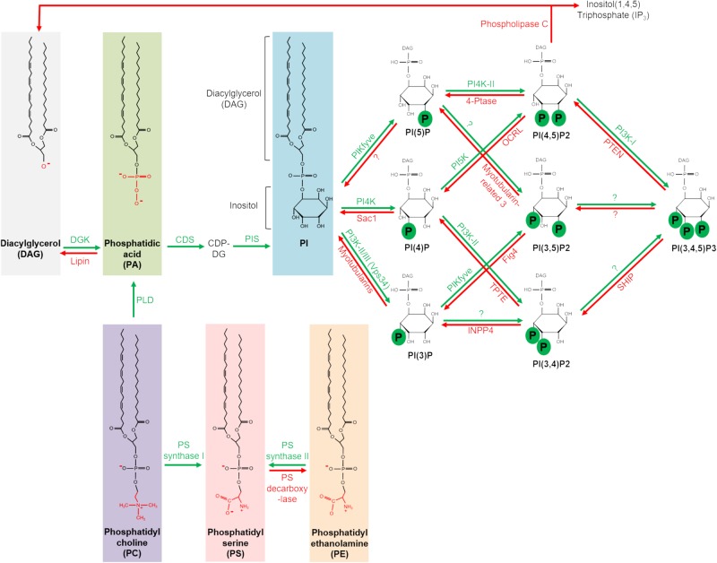 FIGURE 2