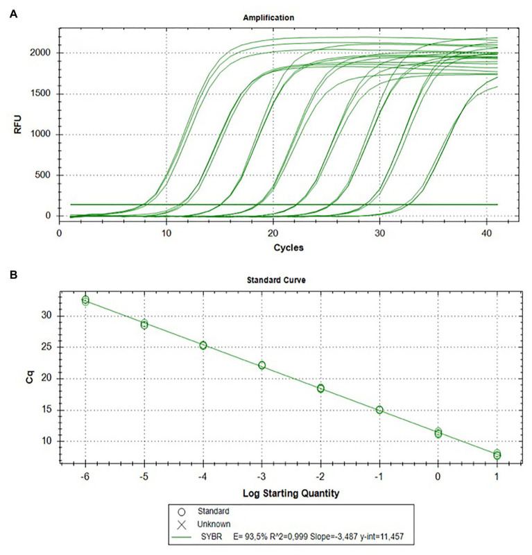 Figure 6