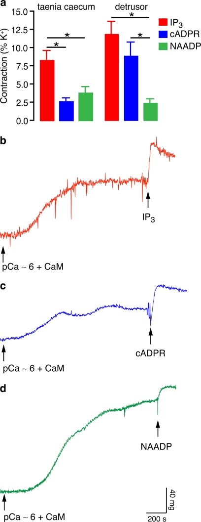 FIGURE 1.