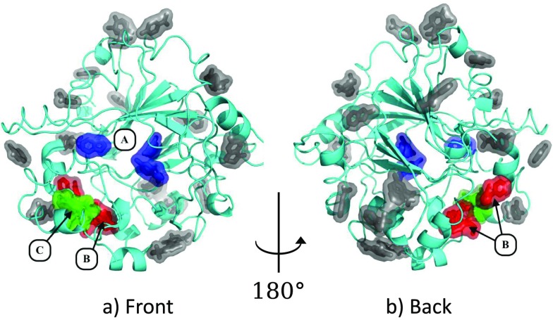 FIG. 2.