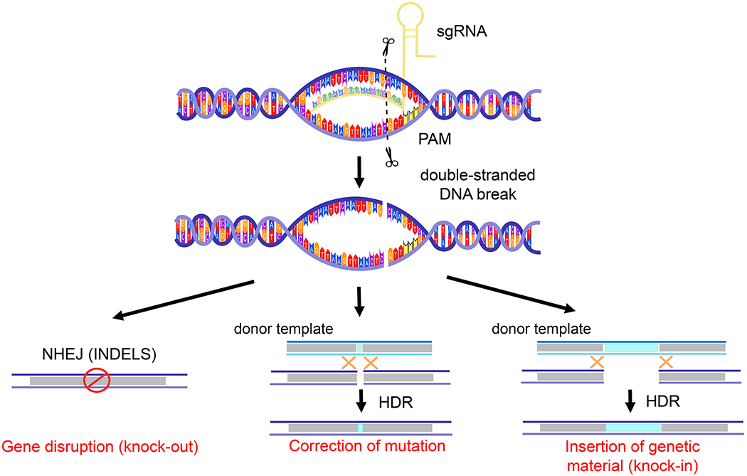 Figure 2.