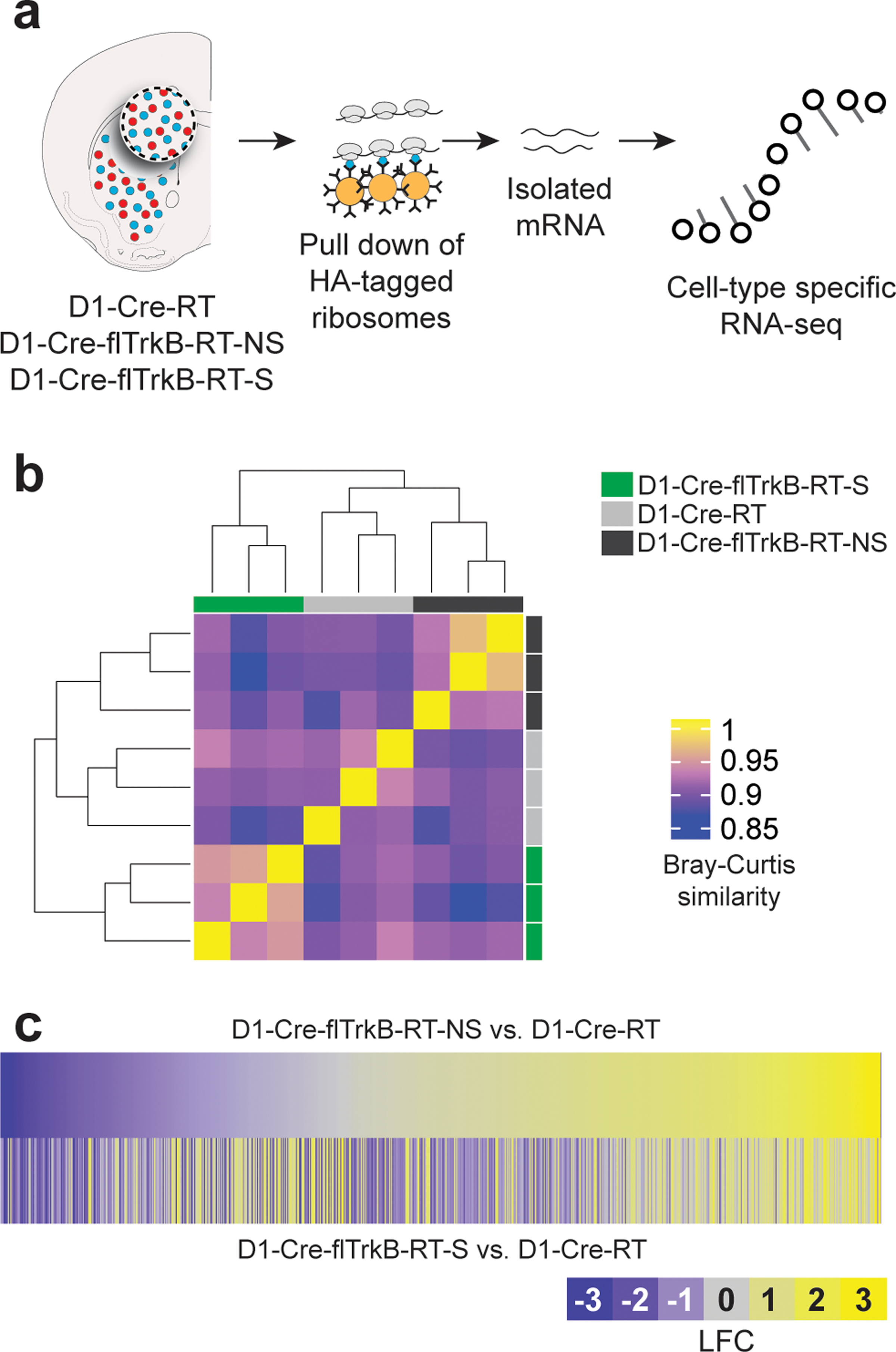 Figure 2: