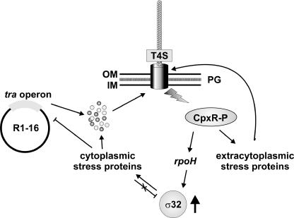 FIG. 7.