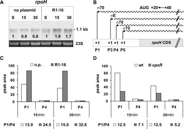 FIG. 6.