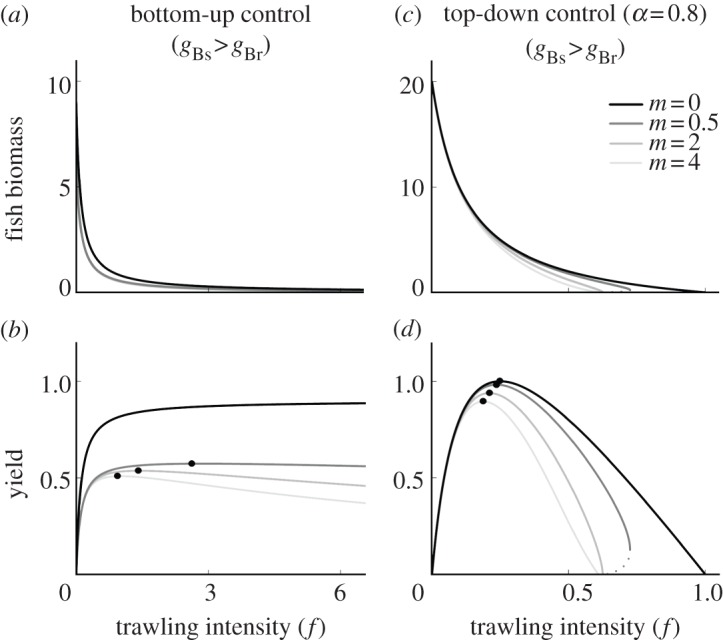 Figure 4.