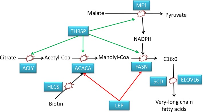 Fig 8