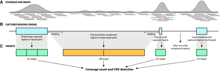 Figure 1