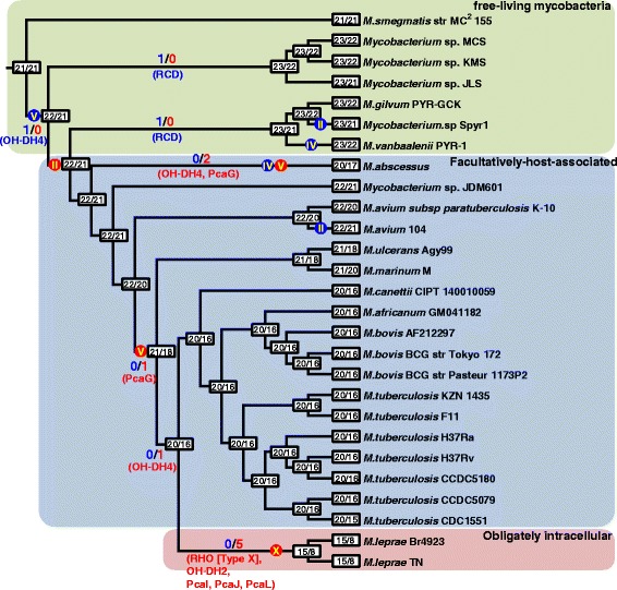 Figure 11