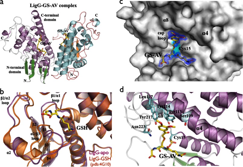 FIGURE 4.