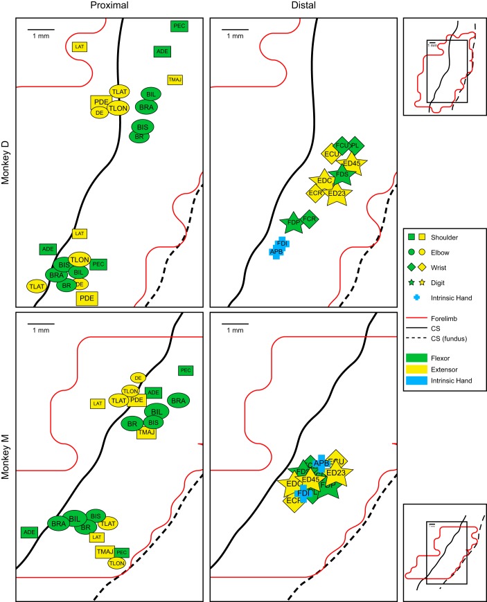 Fig. 7.