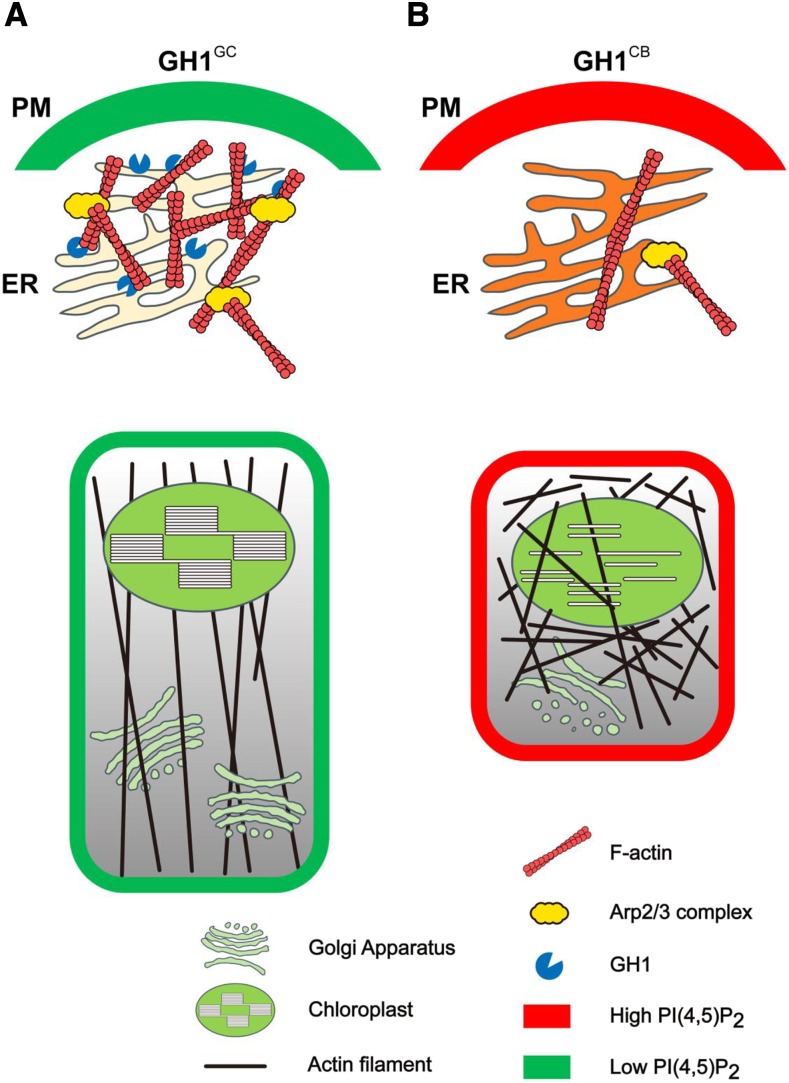 Figure 5.