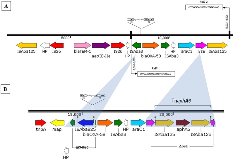 FIG 2