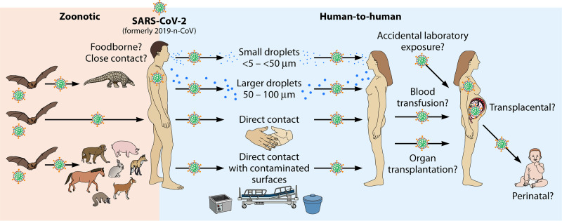 FIG 6