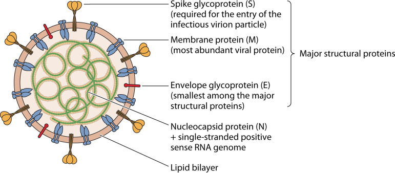 FIG 2