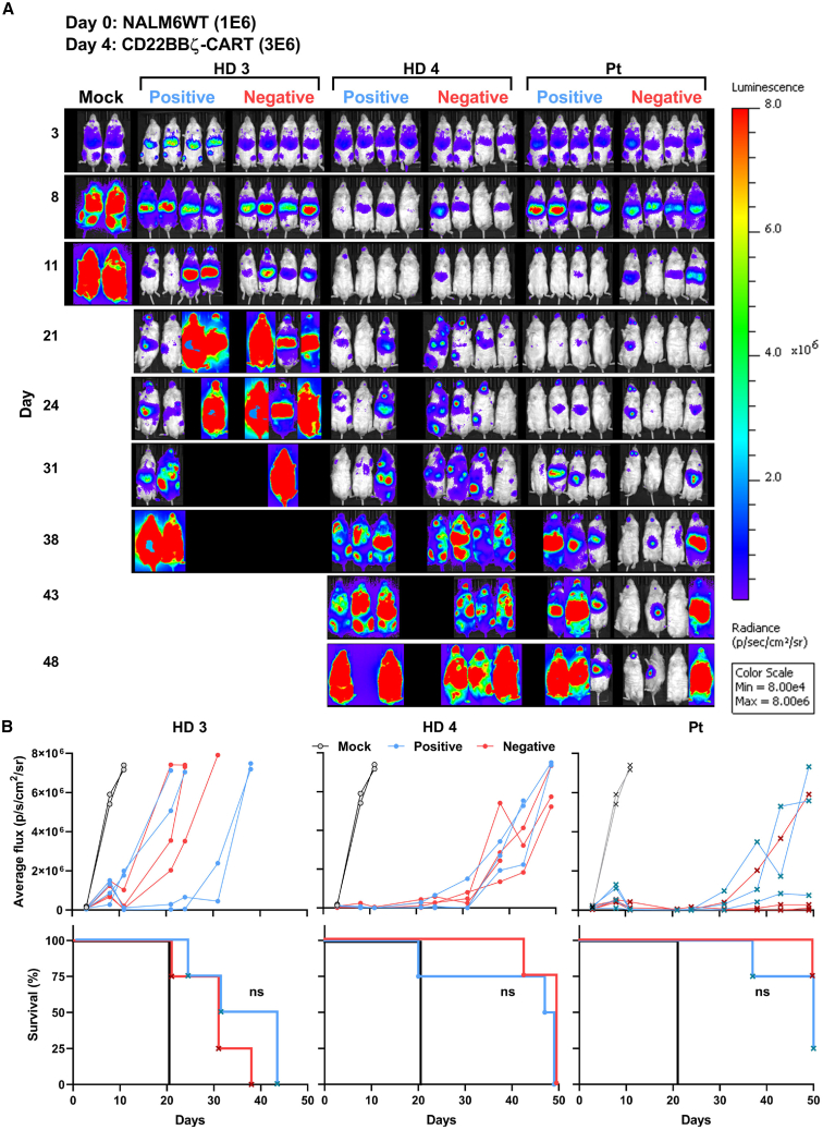 Figure 4