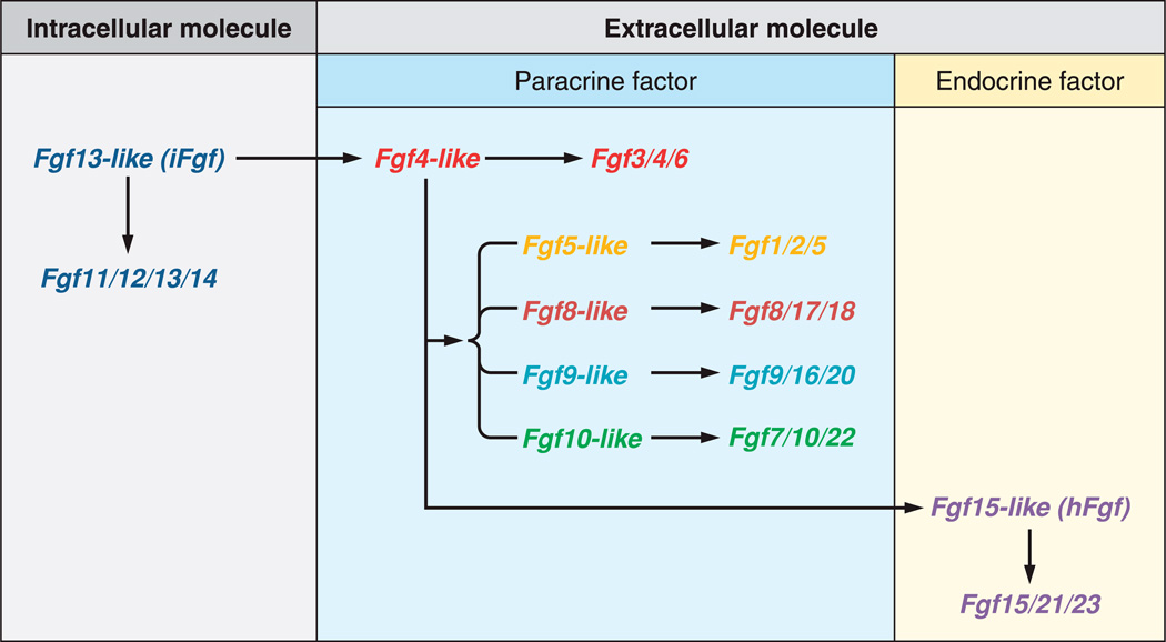 FIGURE. 1