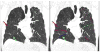 Fig. 9