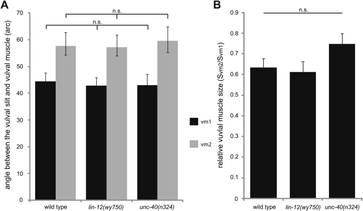 Figure 1—figure supplement 6.