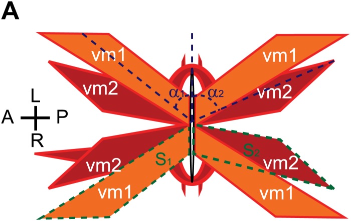 Figure 1—figure supplement 5.