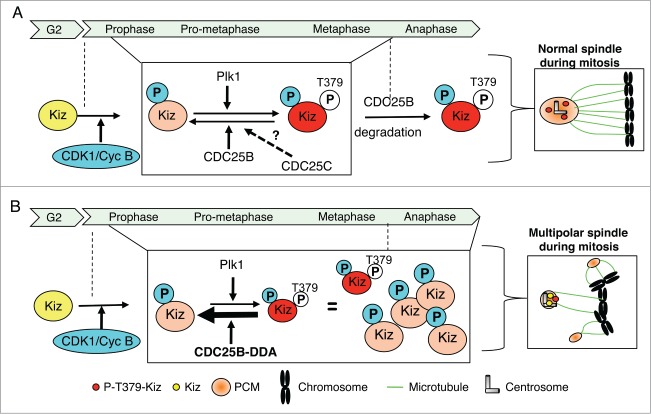 Figure 9.