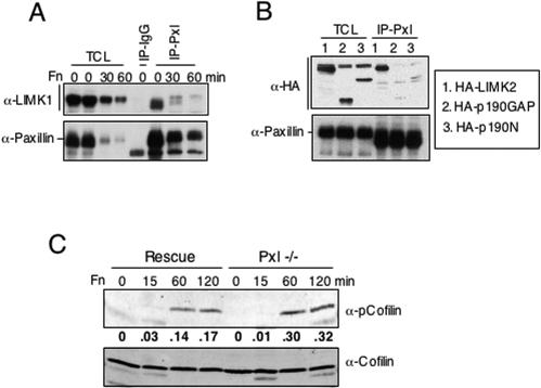 FIG. 7.