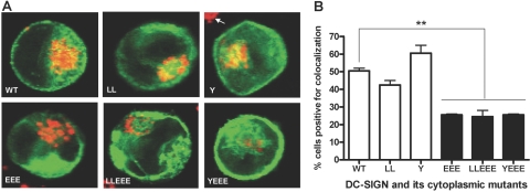 Fig. 9.