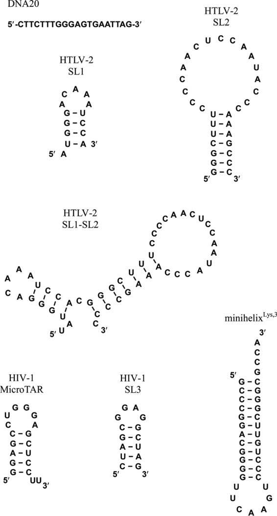 FIG 2