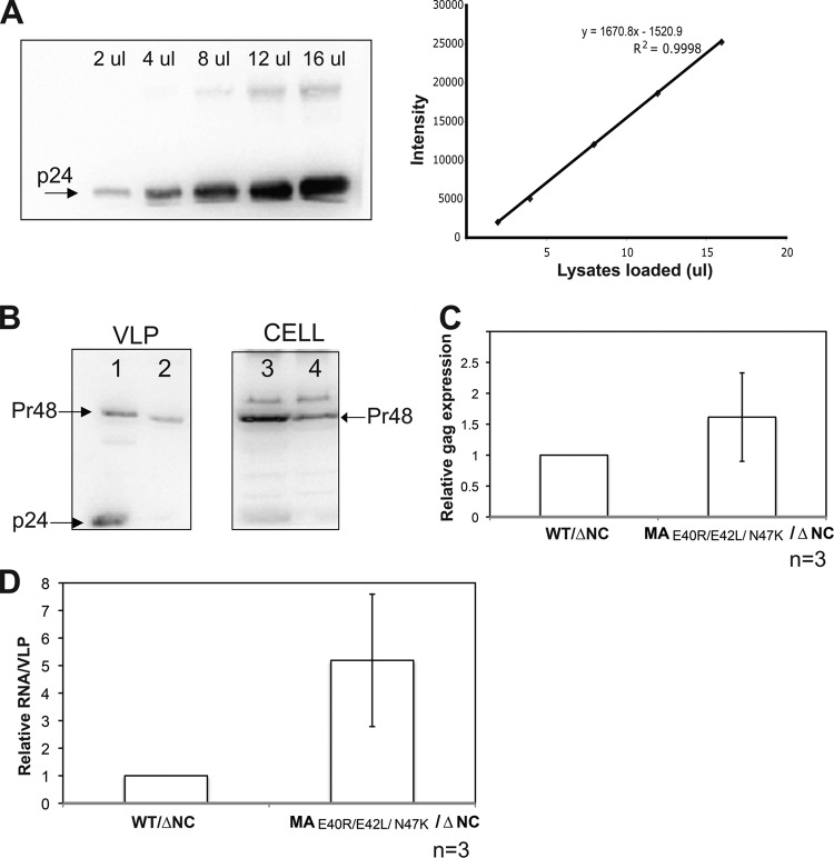 FIG 8