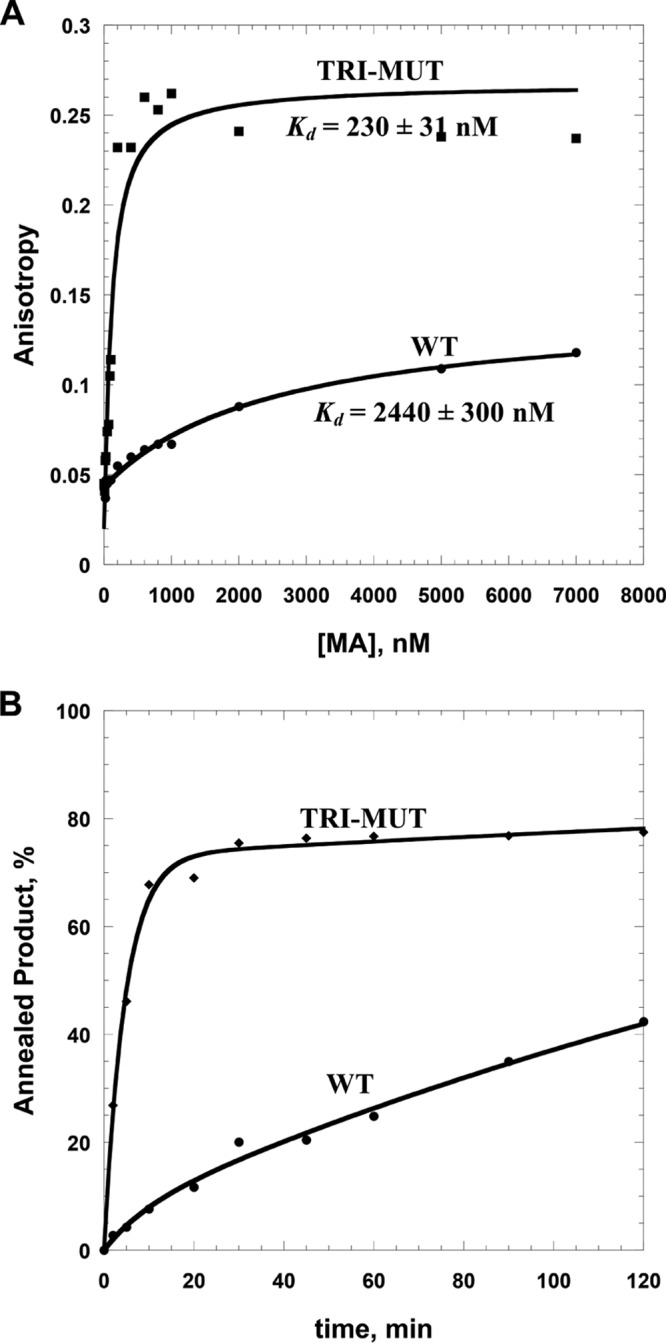 FIG 6