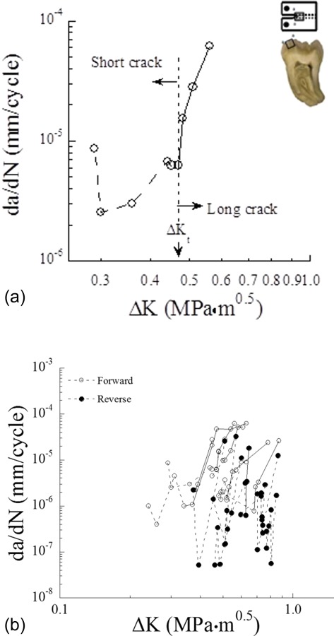 Fig. 12