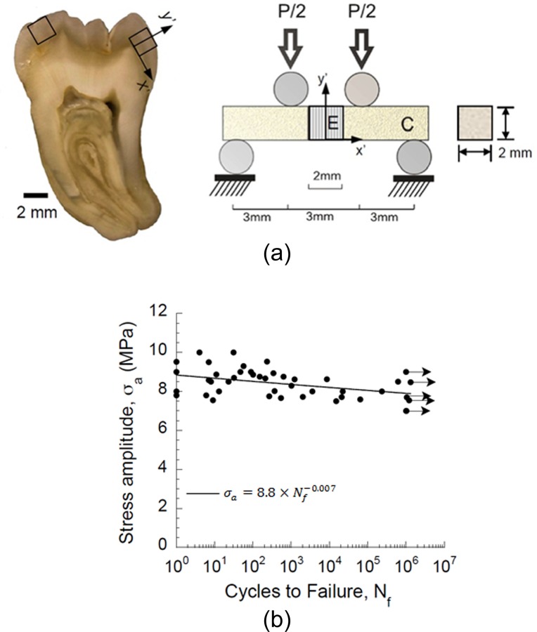 Fig. 11