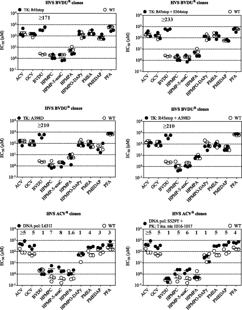 FIG 2