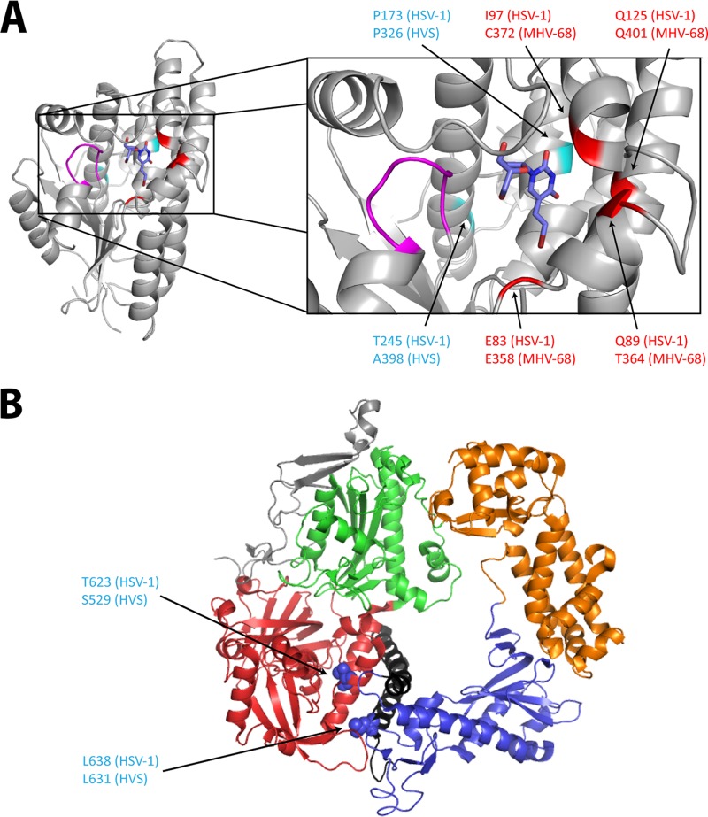 FIG 6