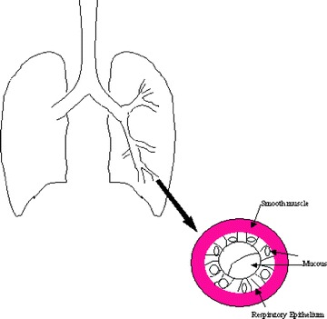 Fig. 2.2